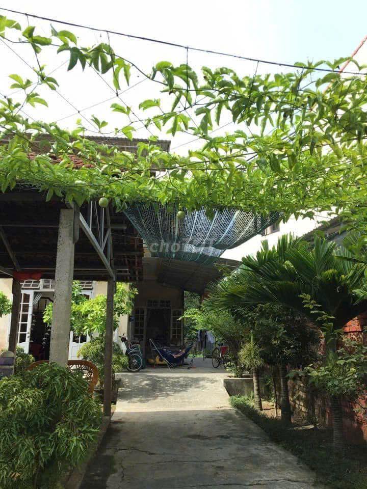 Bán nhà và đất rộng phù hợp ở hoặc xây villa