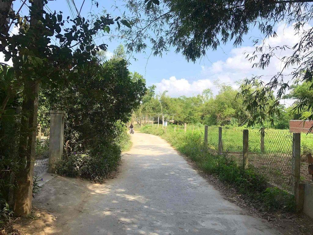 chính chủ bán đất xây Homestay cầu Cẩm Kim Hội An