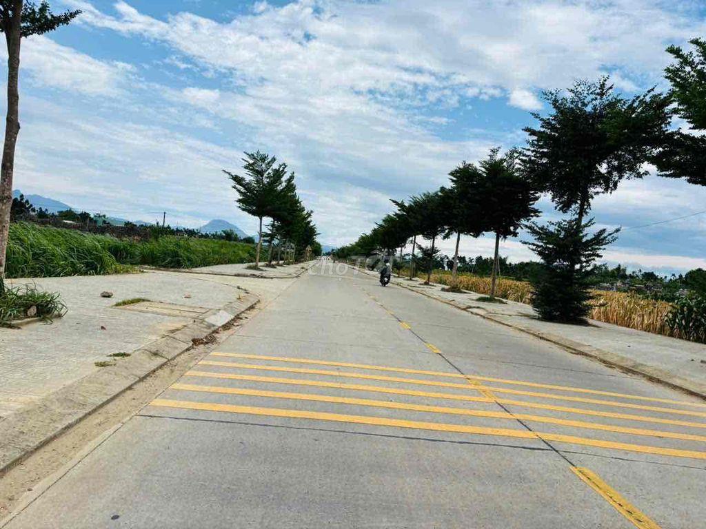 Lô 299triệu diện tích 125m2 full đất ở