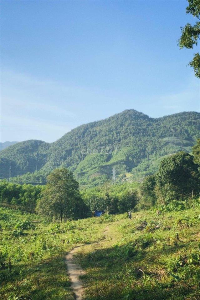 Bán đất trồng cây lâu năm ở Đà Nẵng