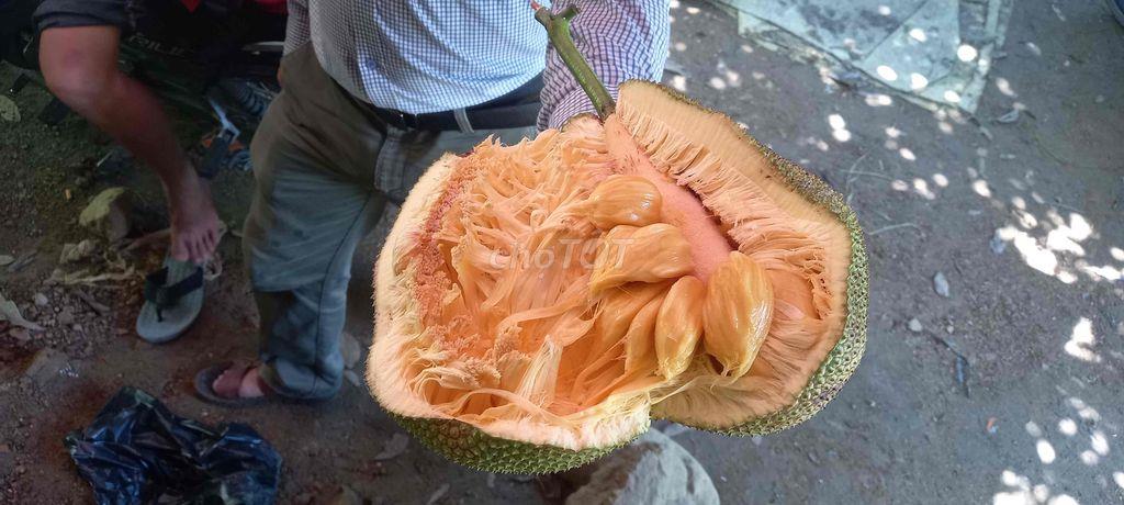 Bán đất trồng cây lâu năm ở Đà Nẵng
