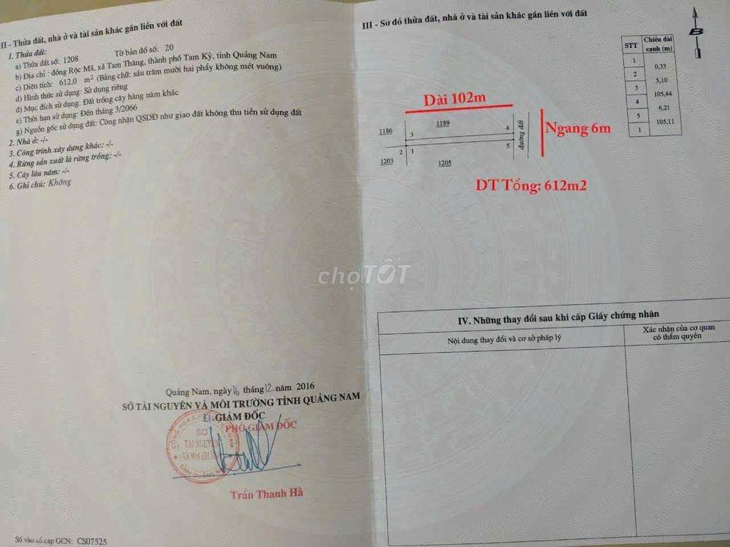 612m2 đất trồng cây hàng năm khác