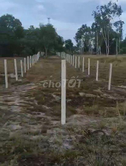 612m2 đất trồng cây hàng năm khác