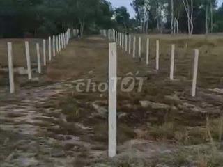612m2 đất trồng cây hàng năm khác