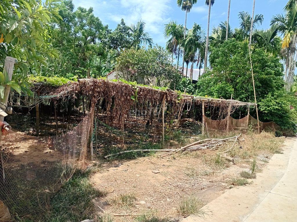 🔥 ĐẤT CẨM KIM HỘI AN 668,7m² –CHỈ 6,6 TRIỆU/M² (4tỷ413đ)– ĐƯỜNG Ô TÔ 🔥