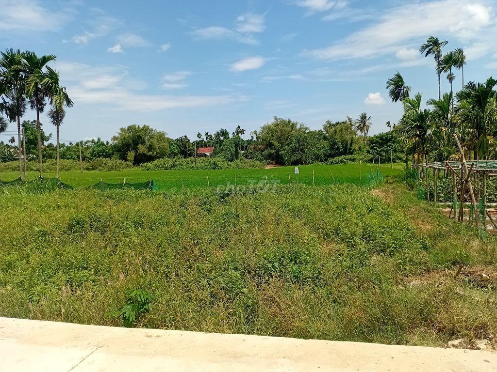 🔥 ĐẤT CẨM KIM HỘI AN 668,7m² –CHỈ 6,6 TRIỆU/M² (4tỷ413đ)– ĐƯỜNG Ô TÔ 🔥
