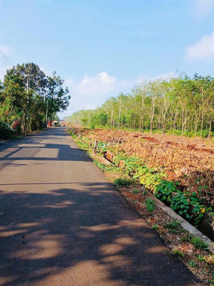 Bán đất ĐƯỜNG BÌNH BA – KIM LONG 20 MÉT: 620 triệu/lô/163,2 m2 (5x32)