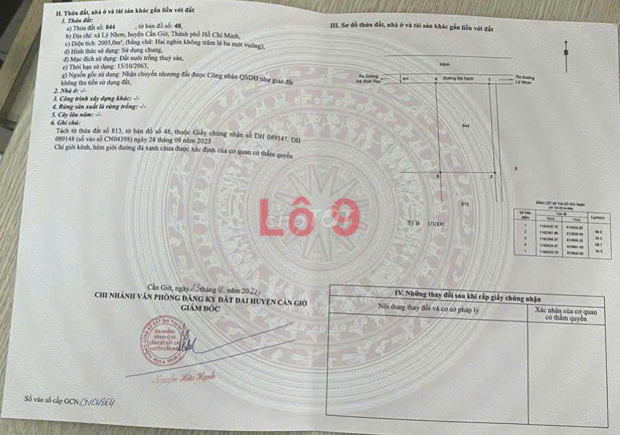 ĐẤT MẶT TIỀN GẦN VINHOME CẦN GIỜ, ĐƯỜNG XƯƠNG CÁ (LÝ NHƠN)