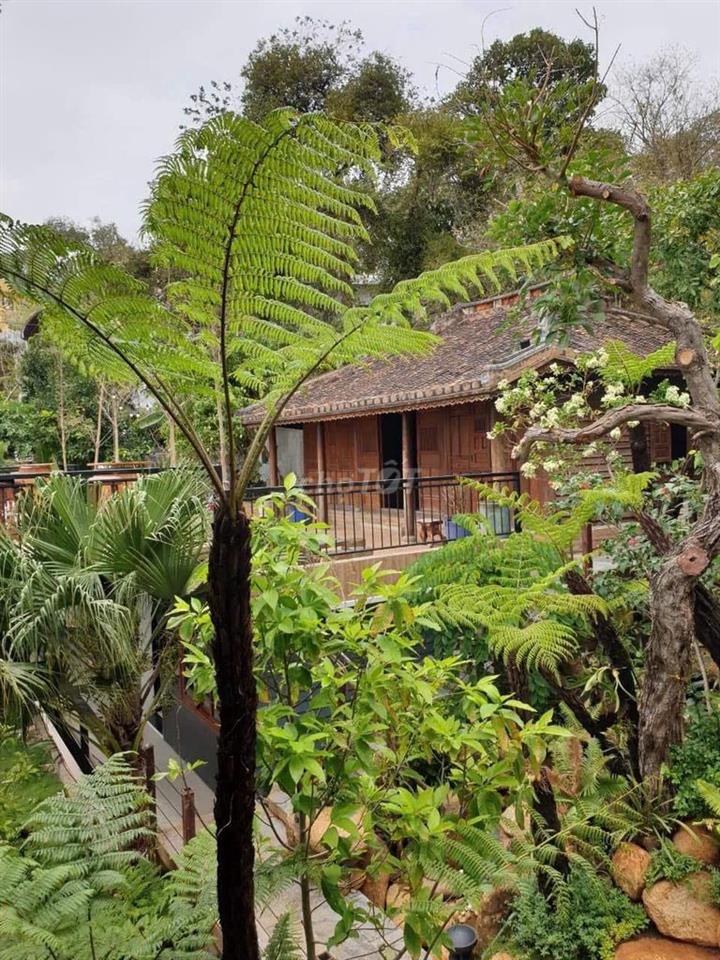 Chuyển nhượng Vila cao cấp