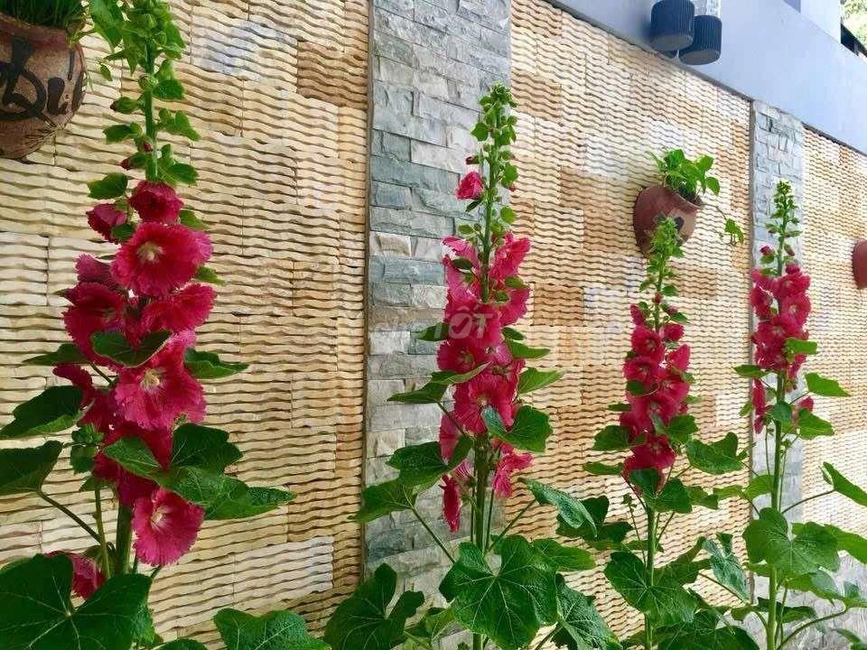 bán nhà 2 mặt tiền