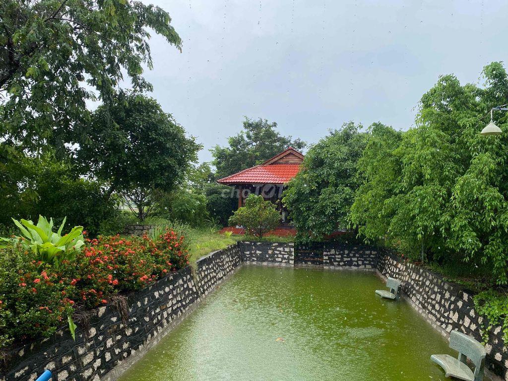 Đất mặt tiền đường quảng phú tân an