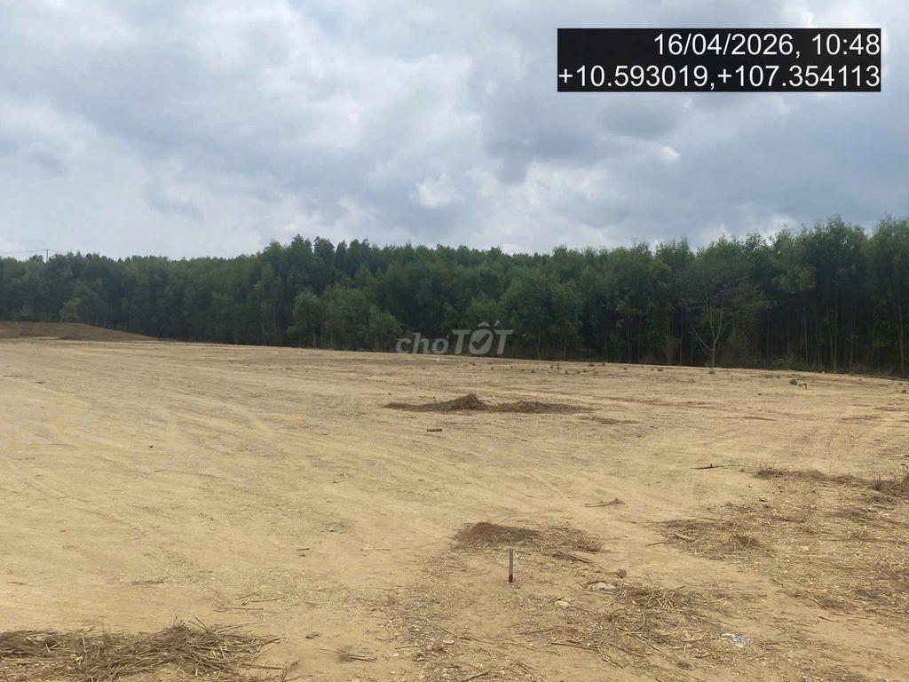 ⚡ SĂN ĐẤT PHÁT MẠI – GIÁ TỐT, TÀI SẢN THỰC, CƠ HỘI THỰC