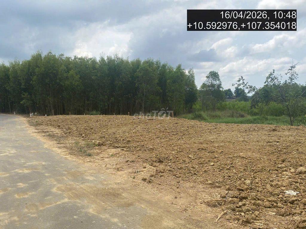 ⚡ SĂN ĐẤT PHÁT MẠI – GIÁ TỐT, TÀI SẢN THỰC, CƠ HỘI THỰC