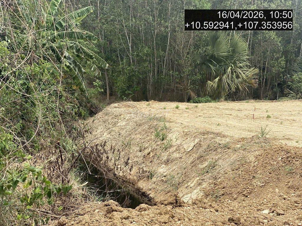 ⚡ SĂN ĐẤT PHÁT MẠI – GIÁ TỐT, TÀI SẢN THỰC, CƠ HỘI THỰC