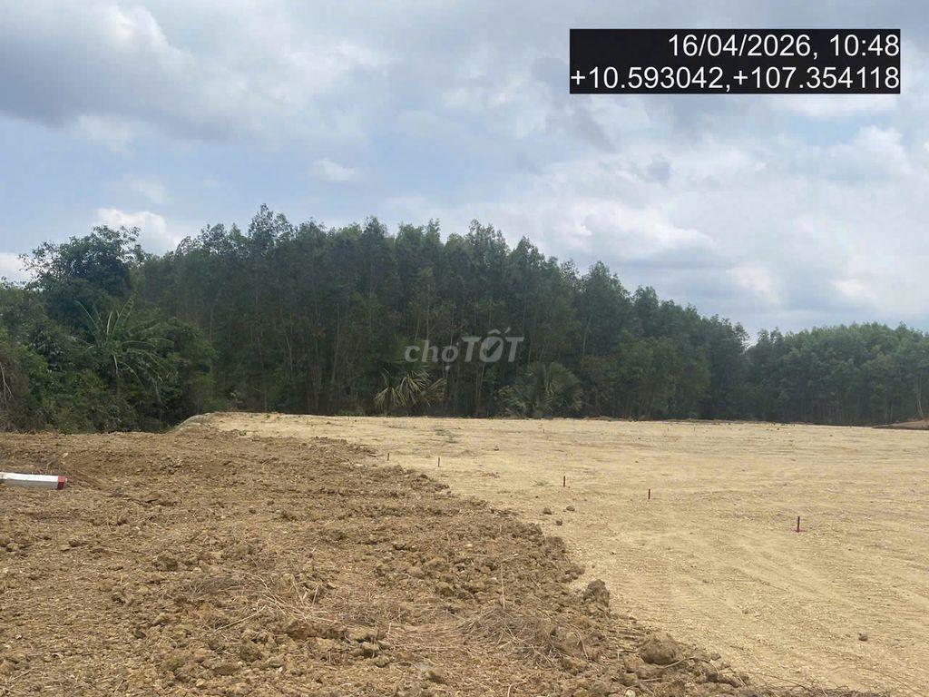 ⚡ SĂN ĐẤT PHÁT MẠI – GIÁ TỐT, TÀI SẢN THỰC, CƠ HỘI THỰC