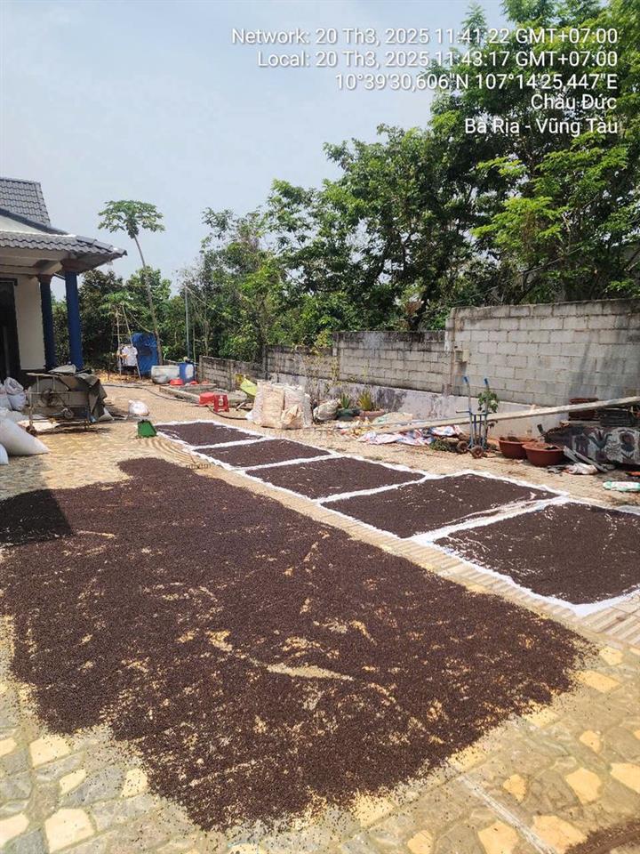💥 CÓ ĐẤT ĐẸP ĐANG CHỜ KHÁCH HỮU DUYÊN 💥