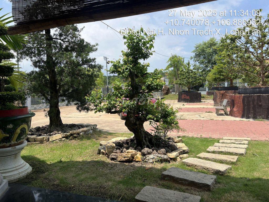 🎯 CƠ HỘI SỞ HỮU ĐẤT VỚI GIÁ TỐT 🎯
