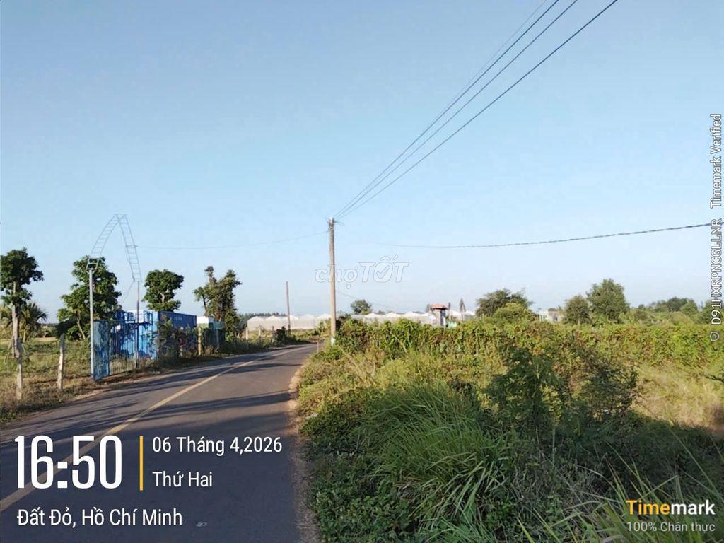🏦 THÔNG TIN BẤT ĐỘNG SẢN ĐANG CHÀO BÁN 🏦