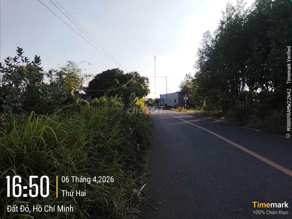 🏦 THÔNG TIN BẤT ĐỘNG SẢN ĐANG CHÀO BÁN 🏦