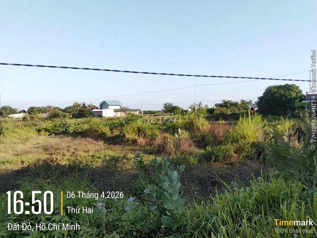 🏦 THÔNG TIN BẤT ĐỘNG SẢN ĐANG CHÀO BÁN 🏦