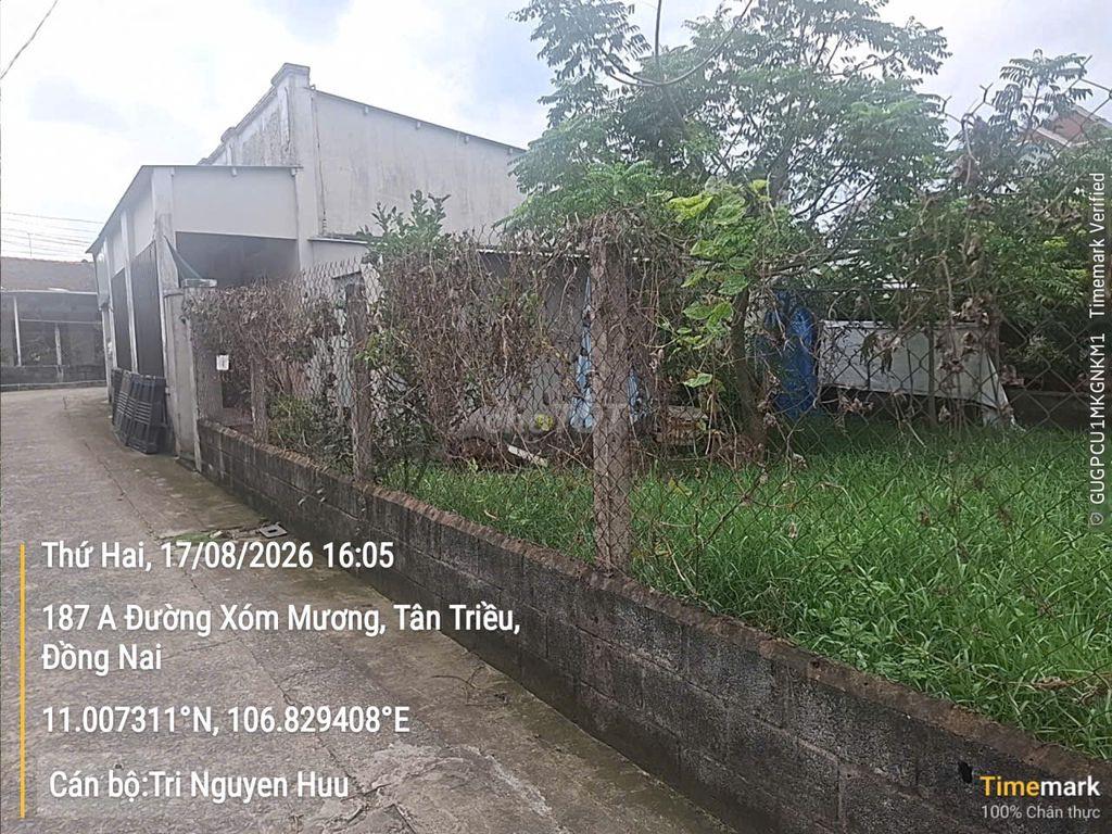 🌟 BẤT ĐỘNG SẢN GIÁ TỐT CHO NGƯỜI CÓ NHU CẦU 🌟