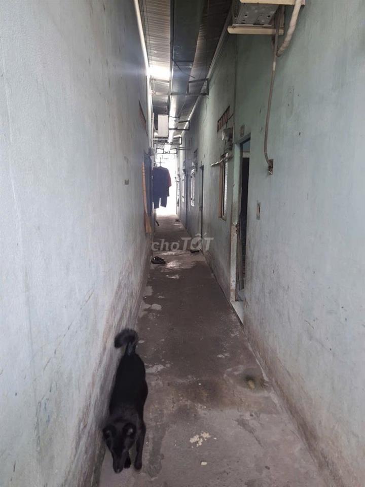 🚨 CƠ HỘI MUA ĐẤT TỪ NGÂN HÀNG 🚨