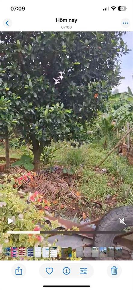 BÁN ĐẤT MT NHỰA, FULL THỔ CƯ, XUYÊN MỘC