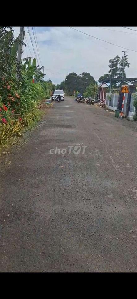 BÁN ĐẤT MT NHỰA, FULL THỔ CƯ, XUYÊN MỘC