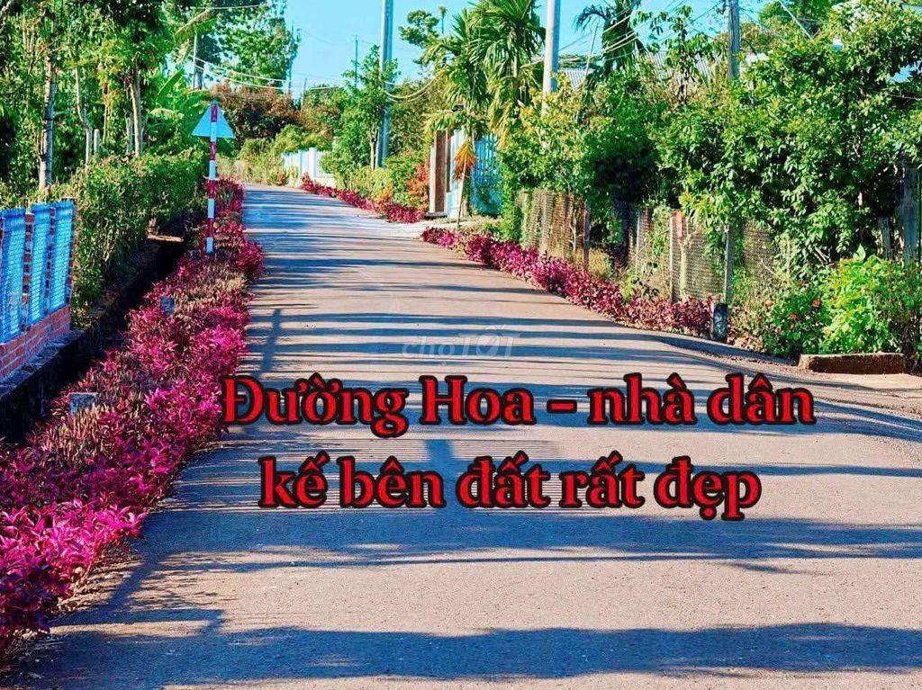 Kim Long TPHCM dân đông đẹp sổ riêng 200m2