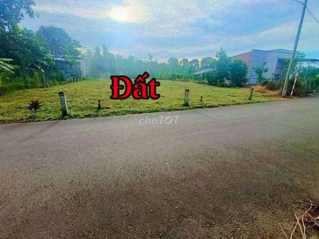 Kim Long TPHCM khu biệt thự đẹp 