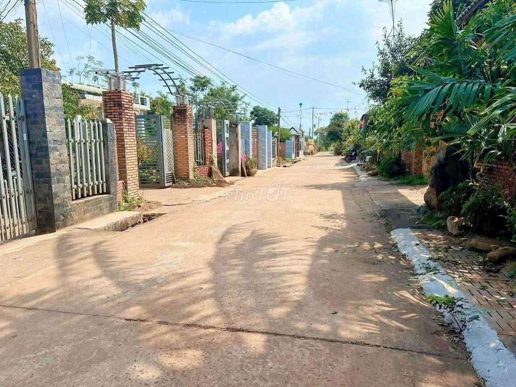 Xuân Sơn TPHCM dân đông sổ riêng 