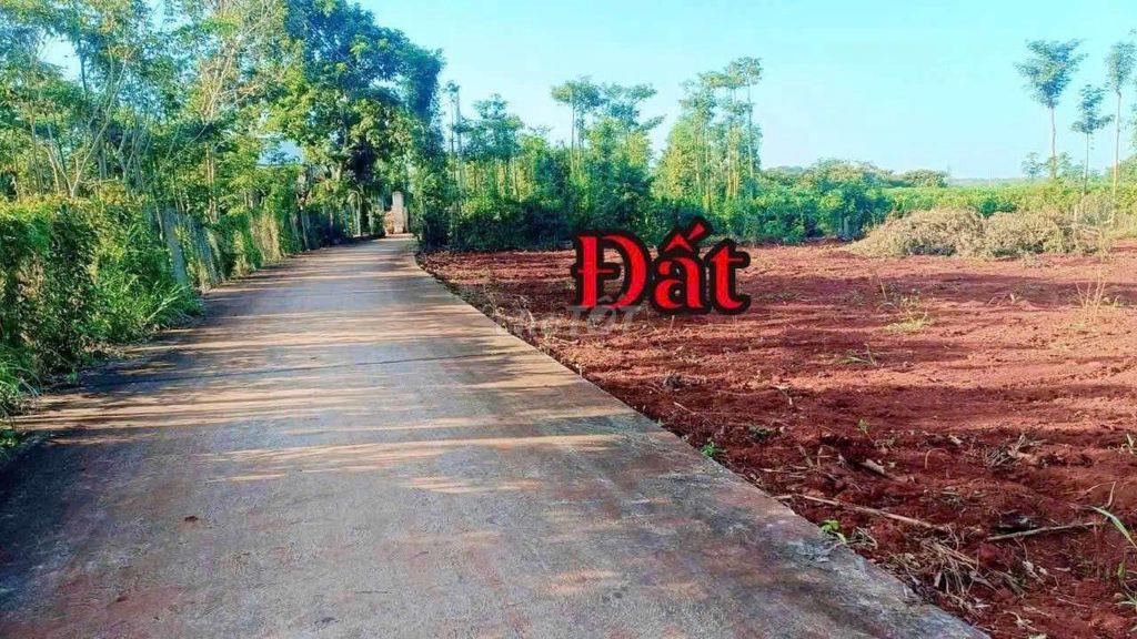 khu vip đẹp Xuân Sơn TPHCM 470tr nguyên sổ