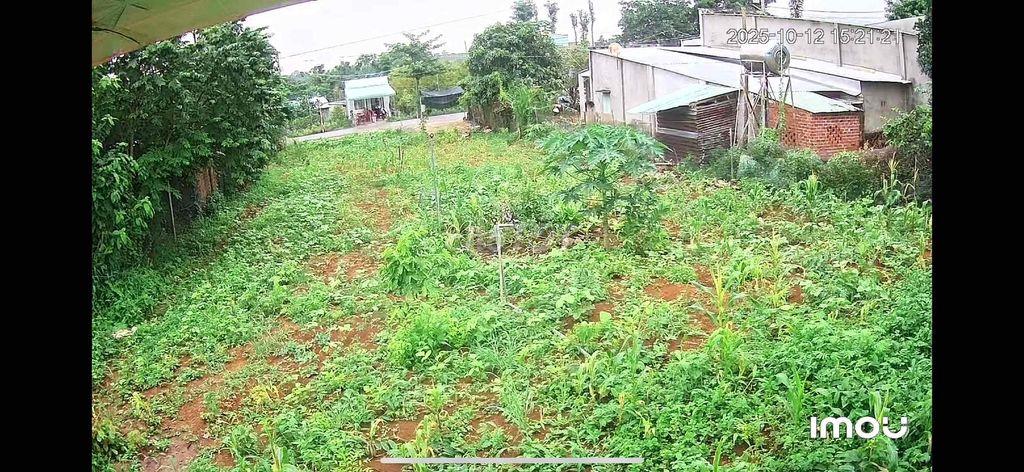 bán đất sào láng lơn châu đức có 100m thôt cư
