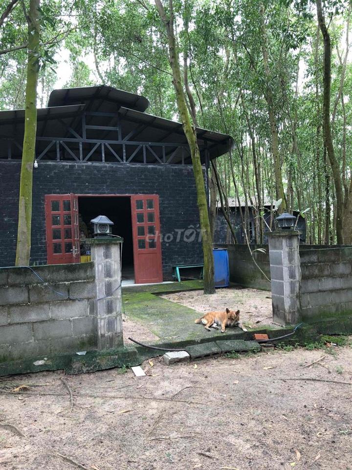 sinh lời hơn gửi ngân hàng