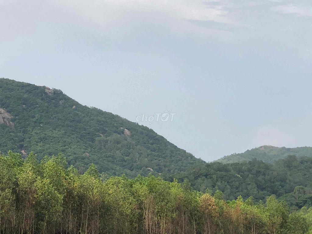 cần tiền bán rẻ đất