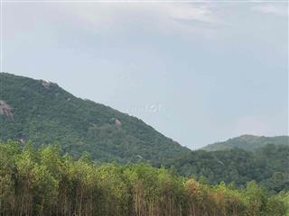 cần tiền bán rẻ đất