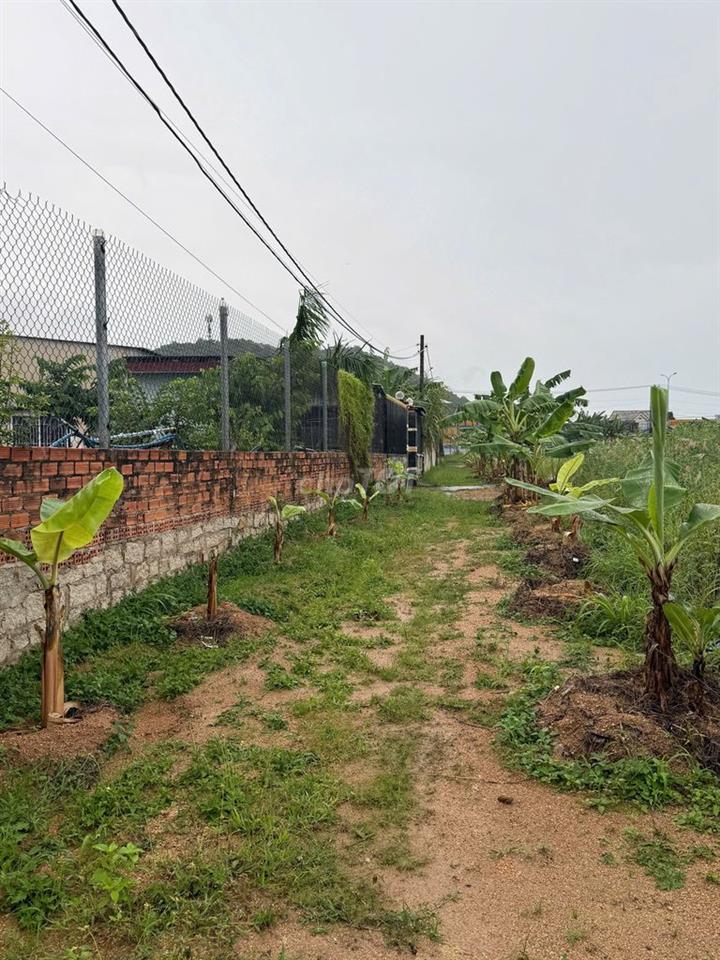 🔥 BÁN ĐẤT PHƯỜNG KIM DINH, TP. BÀ RỊA – GIÁ TỐT CHỈ 1 TỶ 550 TRIỆU 🔥