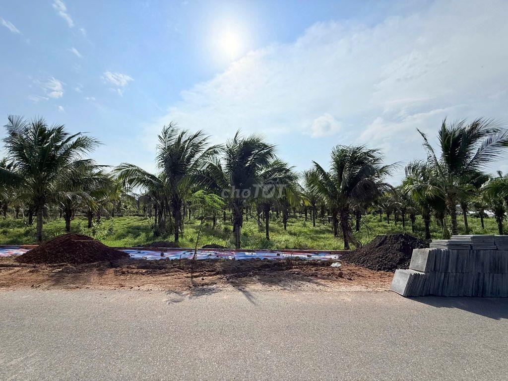 🔥 BÁN ĐẤT PHƯỚC HẢI - BÀ RỊA VŨNG TÀU GIÁ CHỈ 1,3 TỶ 🔥