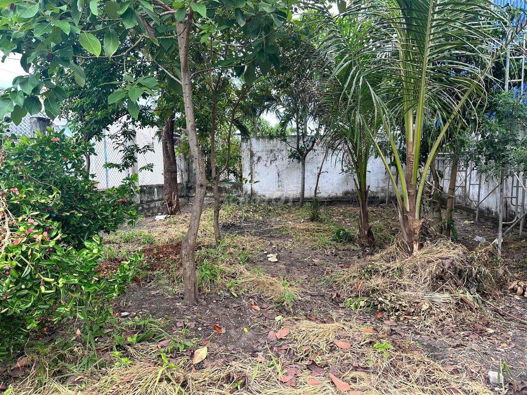 CHÍNH CHỦ BÁN ĐẤT LONG ĐIỀN Sát Khu Hành Chánh, Chợ – 131,4M², TC 100M
