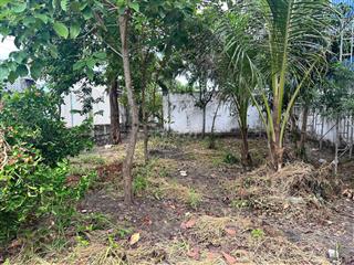 CHÍNH CHỦ BÁN ĐẤT LONG ĐIỀN Sát Khu Hành Chánh, Chợ – 131,4M², TC 100M