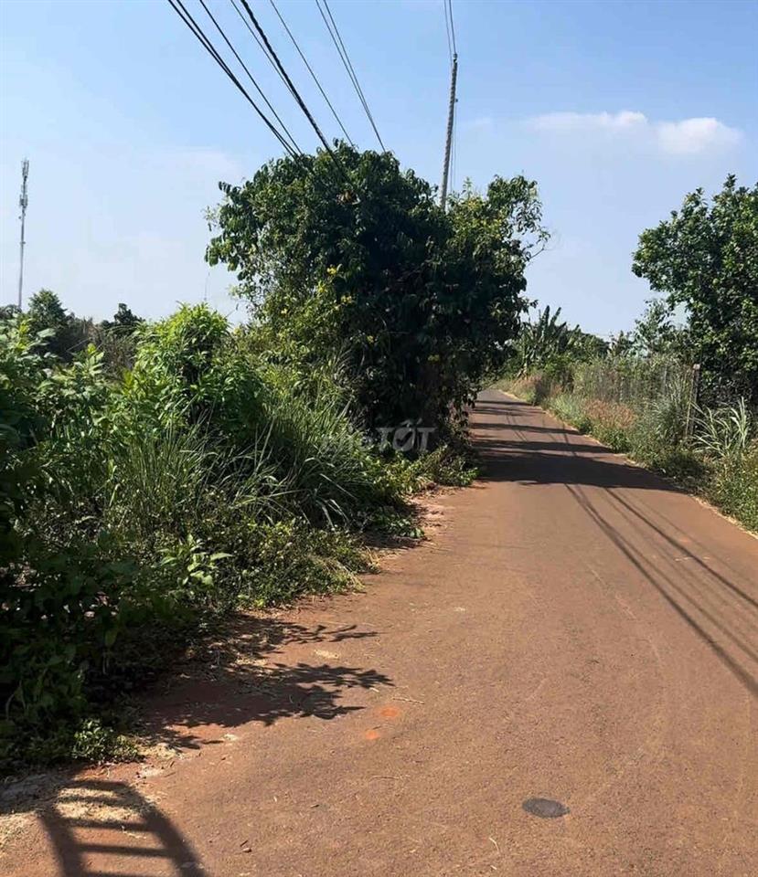 BÁN ĐẤT TẶNG NHÀ VƯỜN
