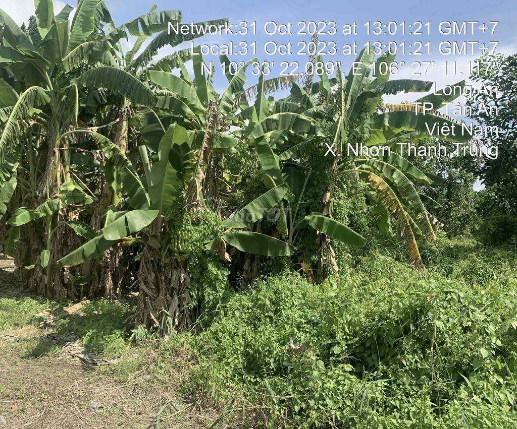 BÁN LÔ THỔ CƯ HIẾM TÂN AN