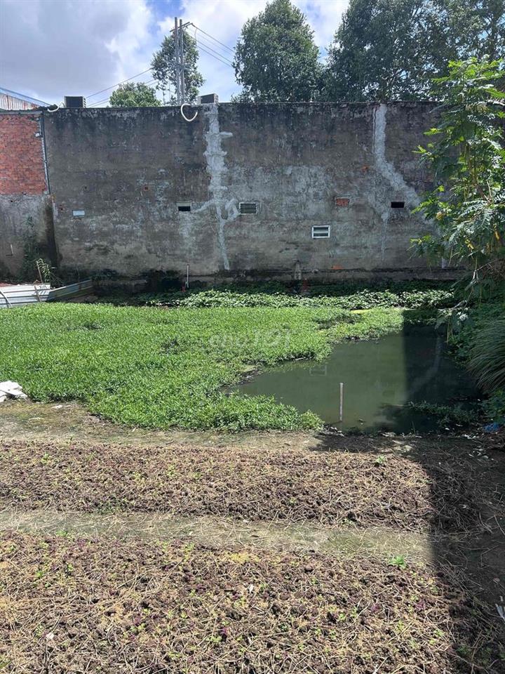 chính chủ cần bán