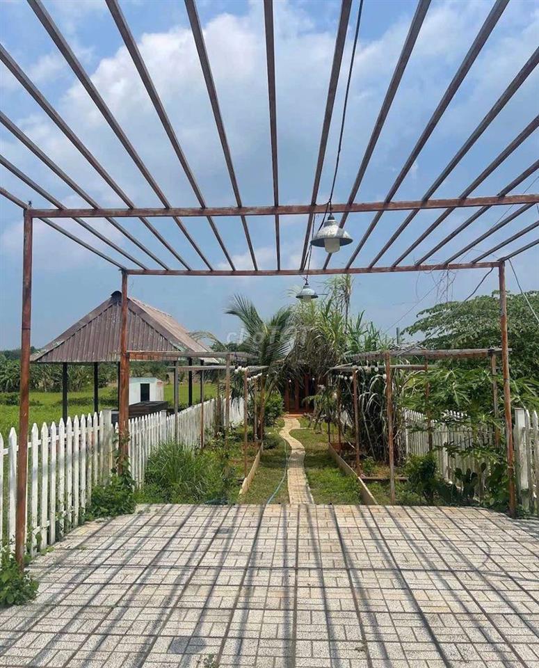 Ngang 5m x 35m – Giá chỉ từ 3,5 triệu/m² 