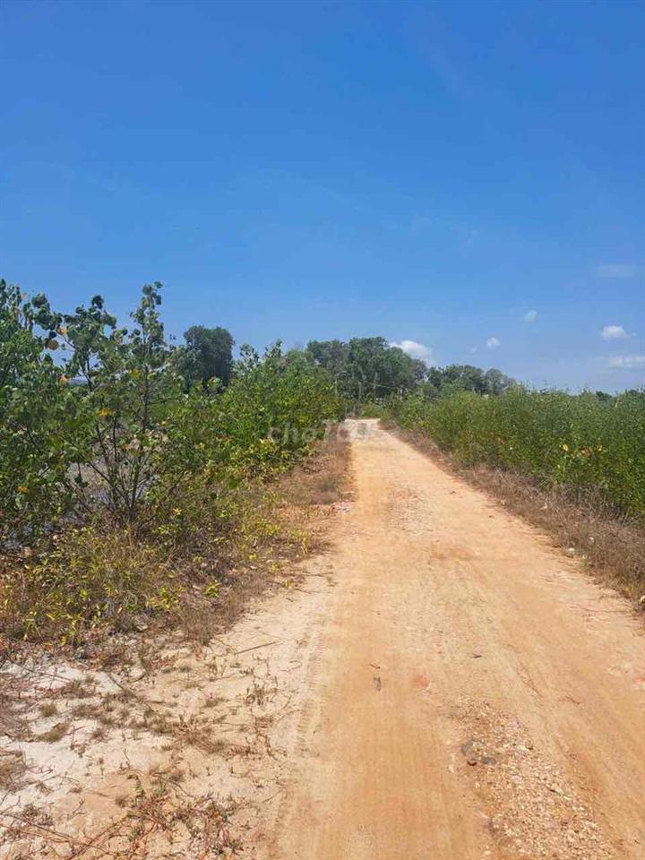 cần bán đất.thôn 9 xã Long Sơn bờ rịa Vũng tàu
