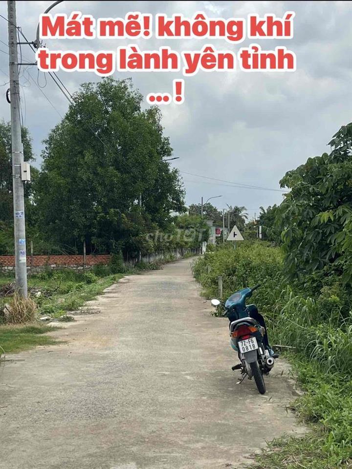 Bán đất Đường 29- Thôn Tân Lễ - Châu Pha - Ngay uỷ ban Châu Pha