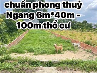 Bán đất Đường 29- Thôn Tân Lễ - Châu Pha - Ngay uỷ ban Châu Pha