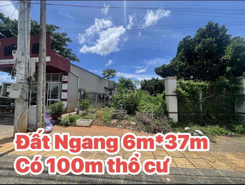 Cần bán mặt tiền Tl52- Hoà Long - Kinh doanh mua bán ngay trung tâm