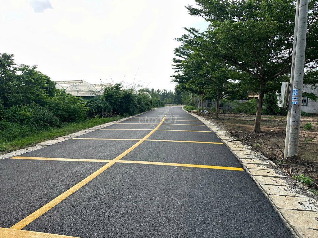 BÁN ĐẤT TÂN THÀNH ĐƯỜNG NHỰA ĐẸP 130M2-60TC 1,2 tỷ