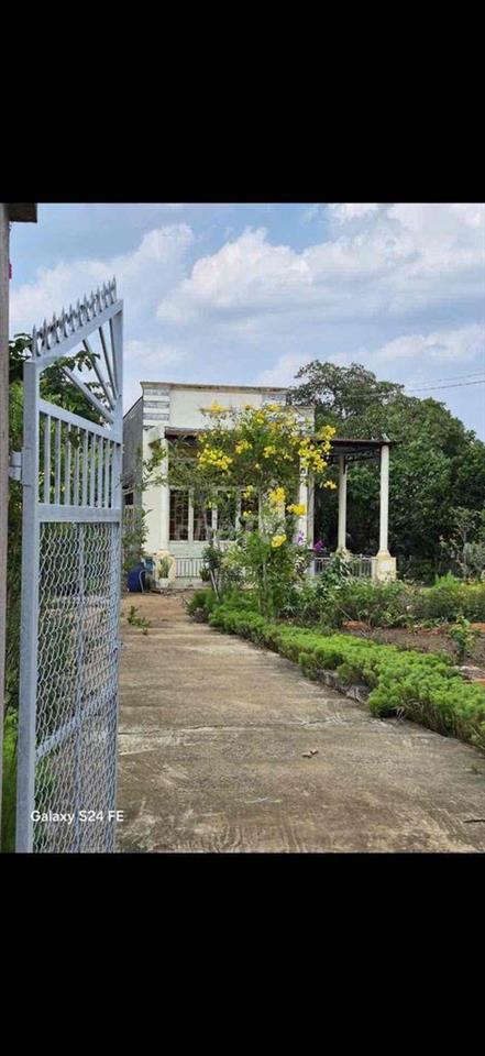 Cần bán 6.281m² (6 sào 2) đất Xuân Lộc. Gần Tỉnh Lộ 766